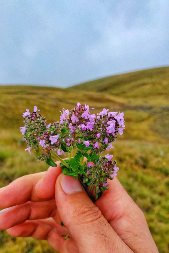 IMG_20200628_101242-01